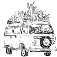 Surf