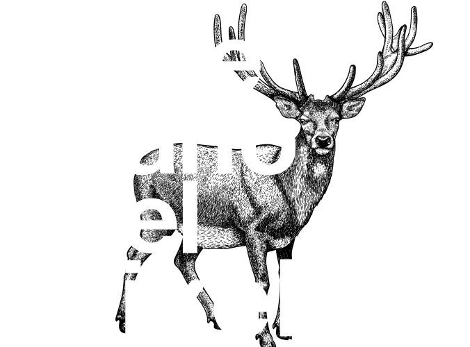 Artesano del pixel